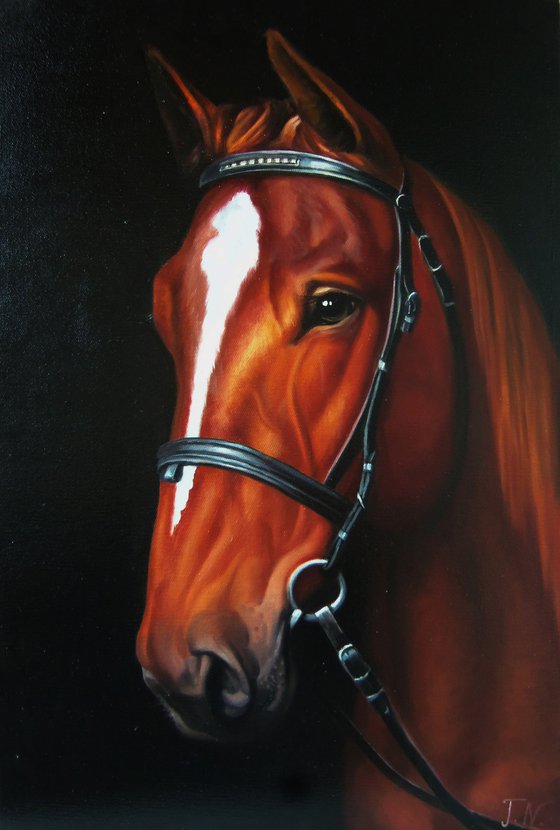 Horse portrait (40x60cm, oil painting, ready to hang)