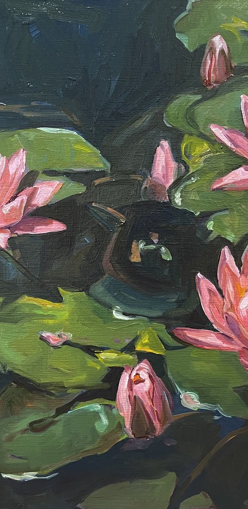 Pink water lilies by Guzel Min