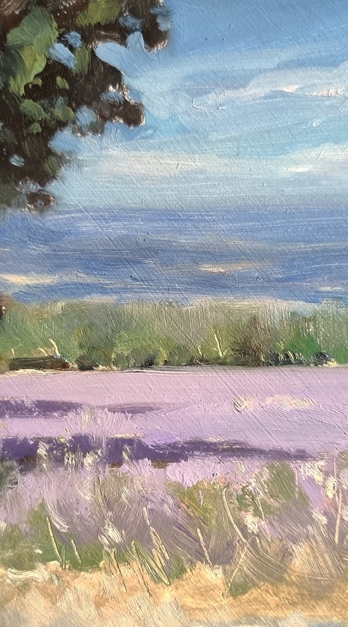 Lavender Field at St Jean by Pascal Giroud