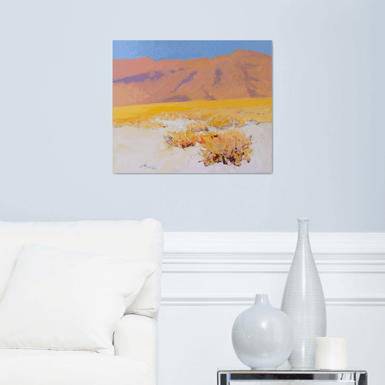 White, Sandy Desert