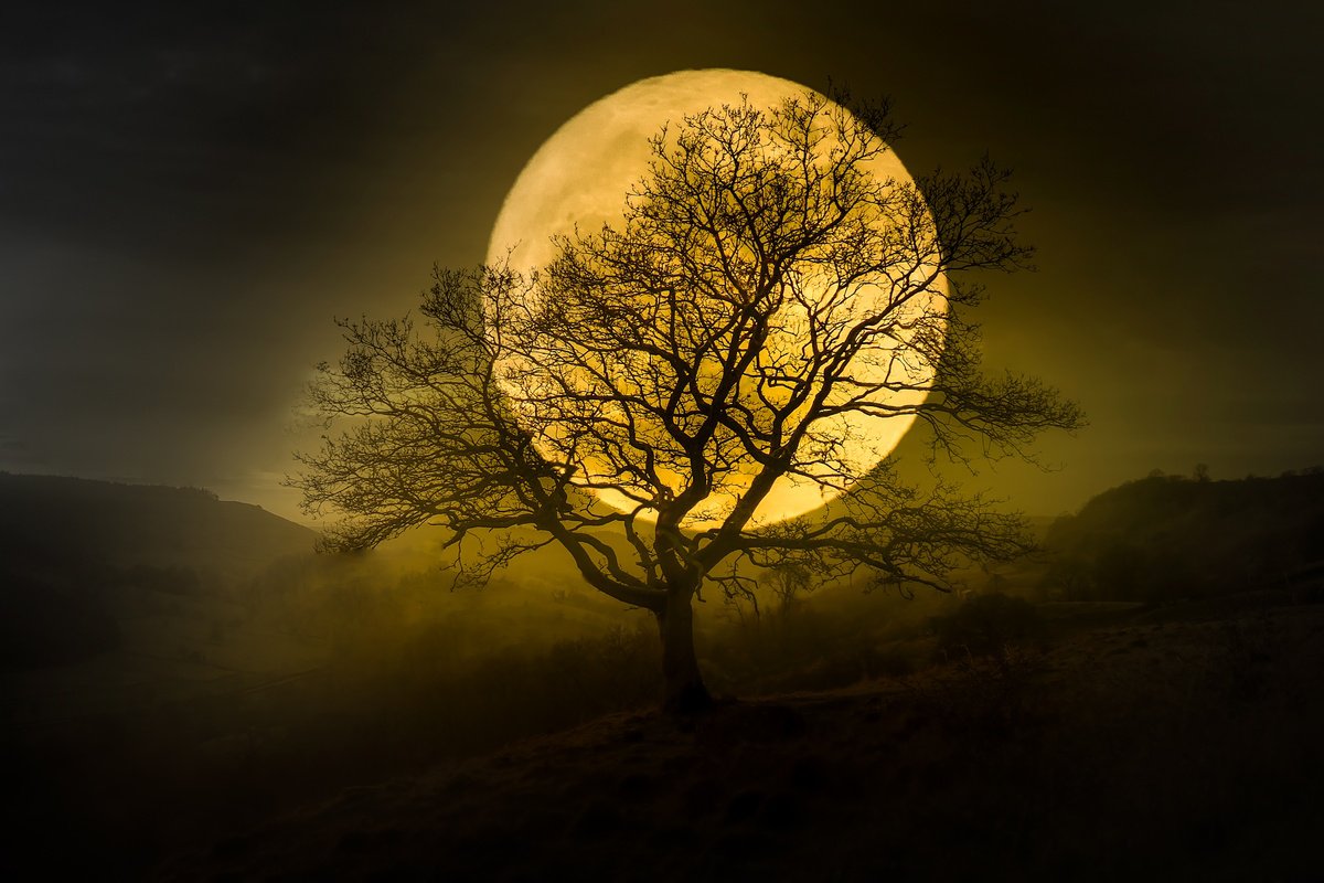 HARVEST MOON II by Harv Greenberg