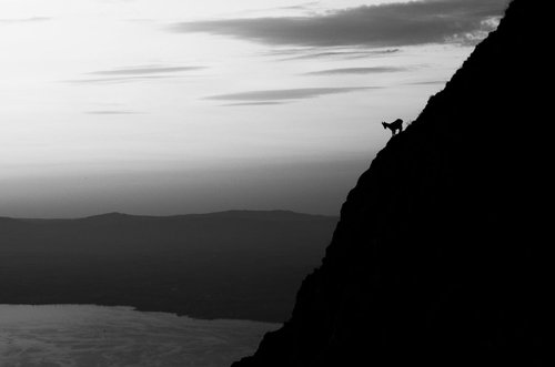 Ibex Above Lac Léman [Framed; also available unframed] by Charles Brabin