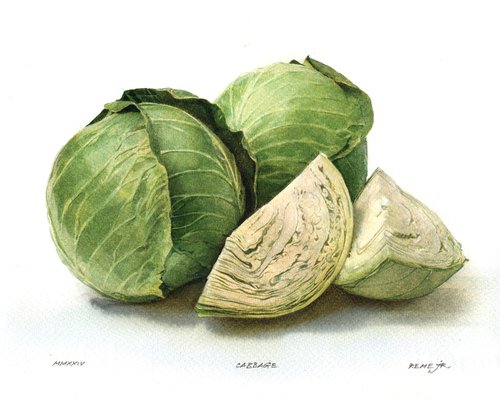 Cabbage by REME Jr.