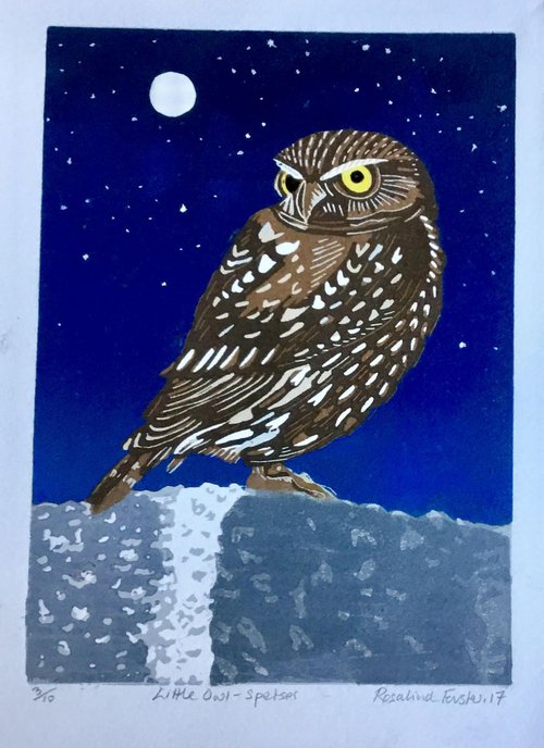 Little Owl by Rosalind Forster