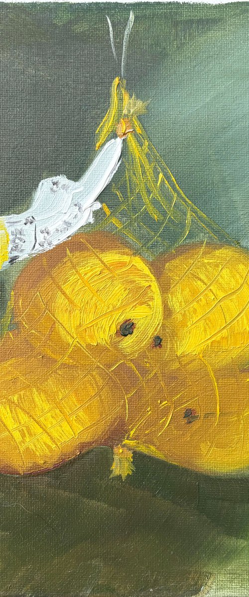 Pack of lemons. still life by Dmitry Fedorov