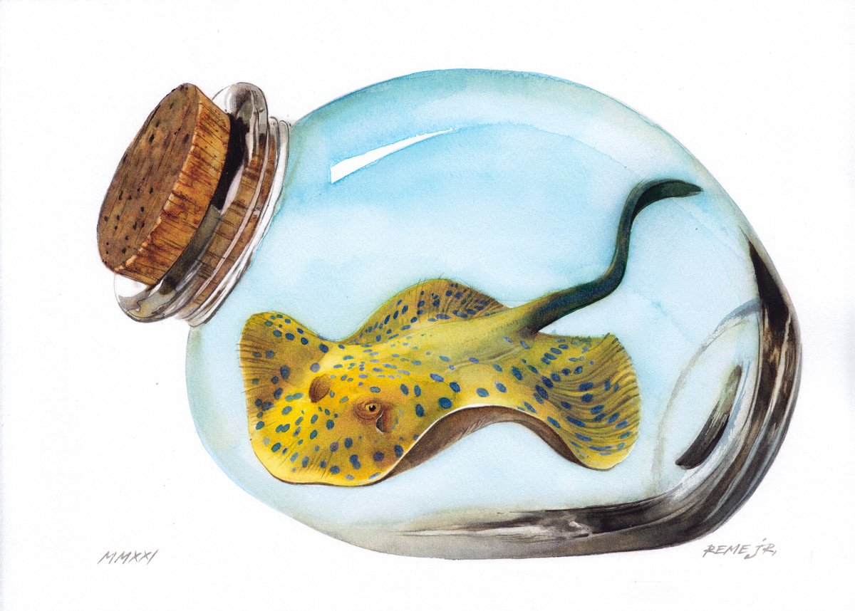 Bluespotted Ribbontail Ray in Jar II by REME Jr.