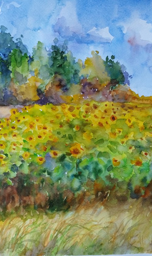 Yellow sunflowers field by Ann Krasikova