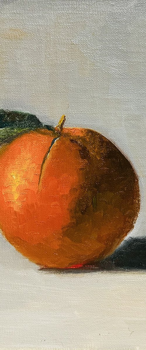 Navel Orange by Elizabeth B. Tucker