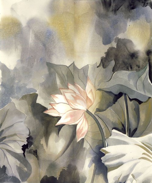 Lotus garden by Alfred  Ng