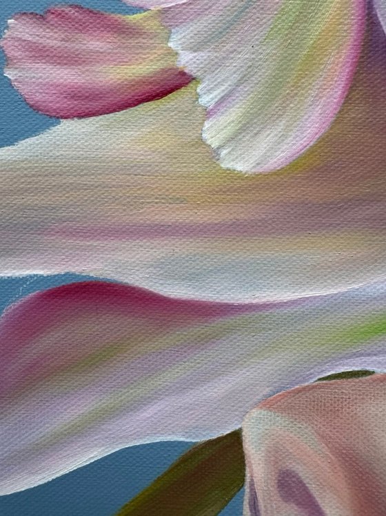 In floral tenderness