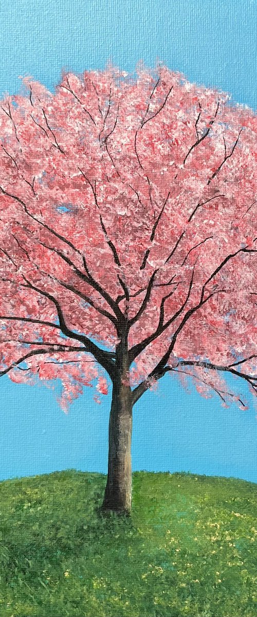 Spring by Victoria Obolensky