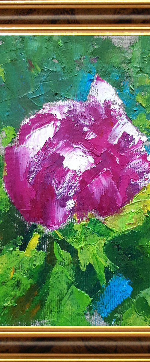 Peony 06 _ 5x6,5'' / framed / FROM MY A SERIES OF MINI WORKS / ORIGINAL OIL PAINTING by Salana Art Gallery