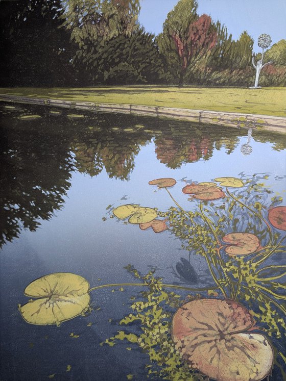 Autumn Lily Pond
