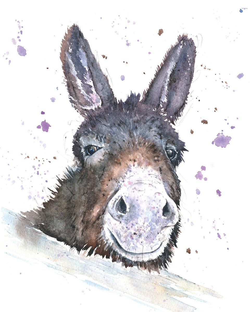 Watercolour Donkey Framed by Kathryn Coyle