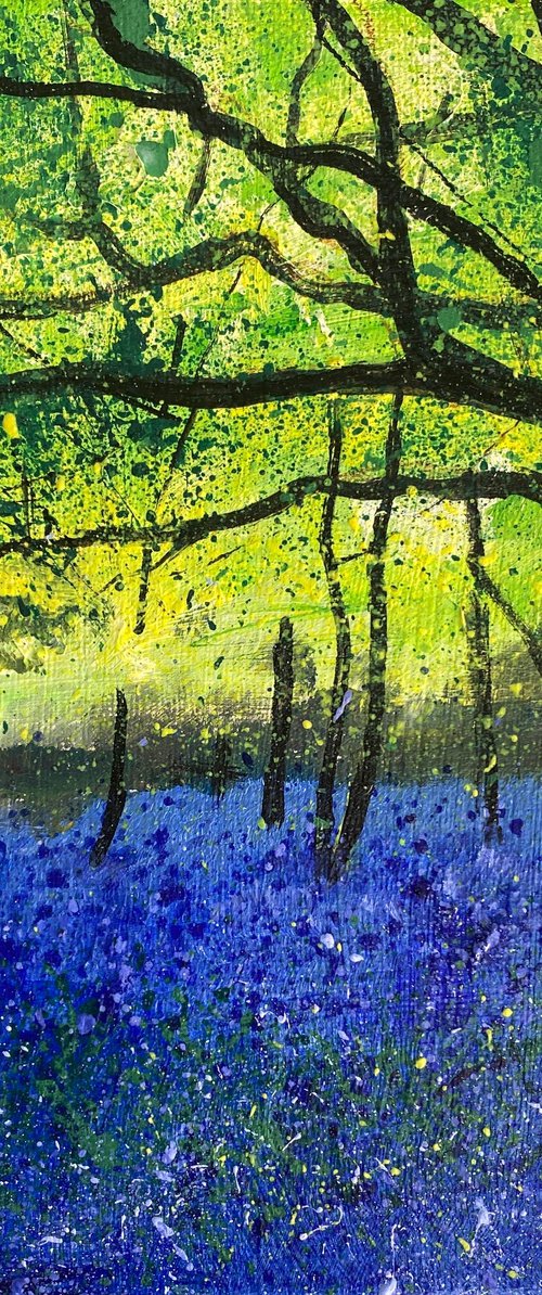 Bluebell Woodland by Teresa Tanner