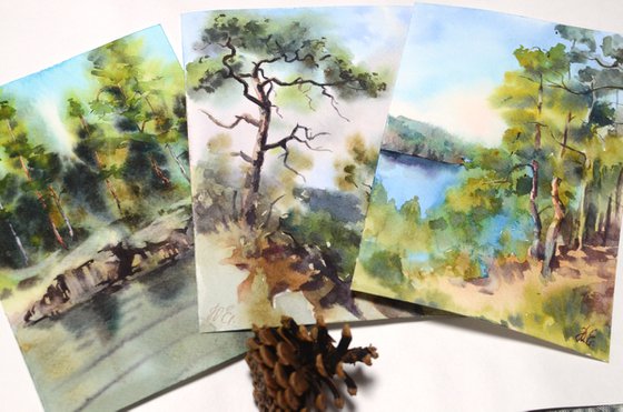 Small watercolor Forest Lake, Russian nature, Karelia