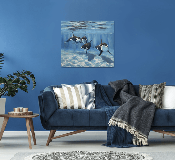 "A pod of Killer Whale"