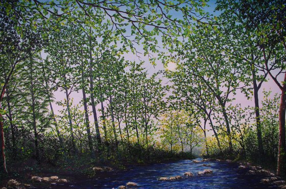 A Secret Forest river