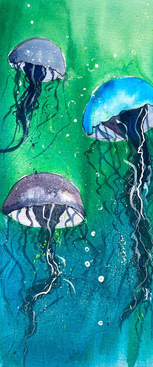 Jellyfish by Teresa Tanner