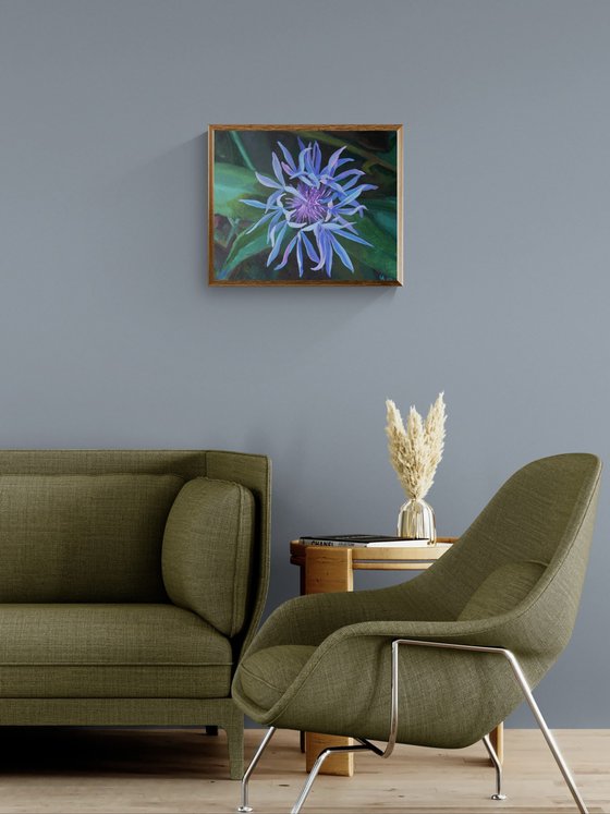 Blue Flower (De Wilde Bloem)