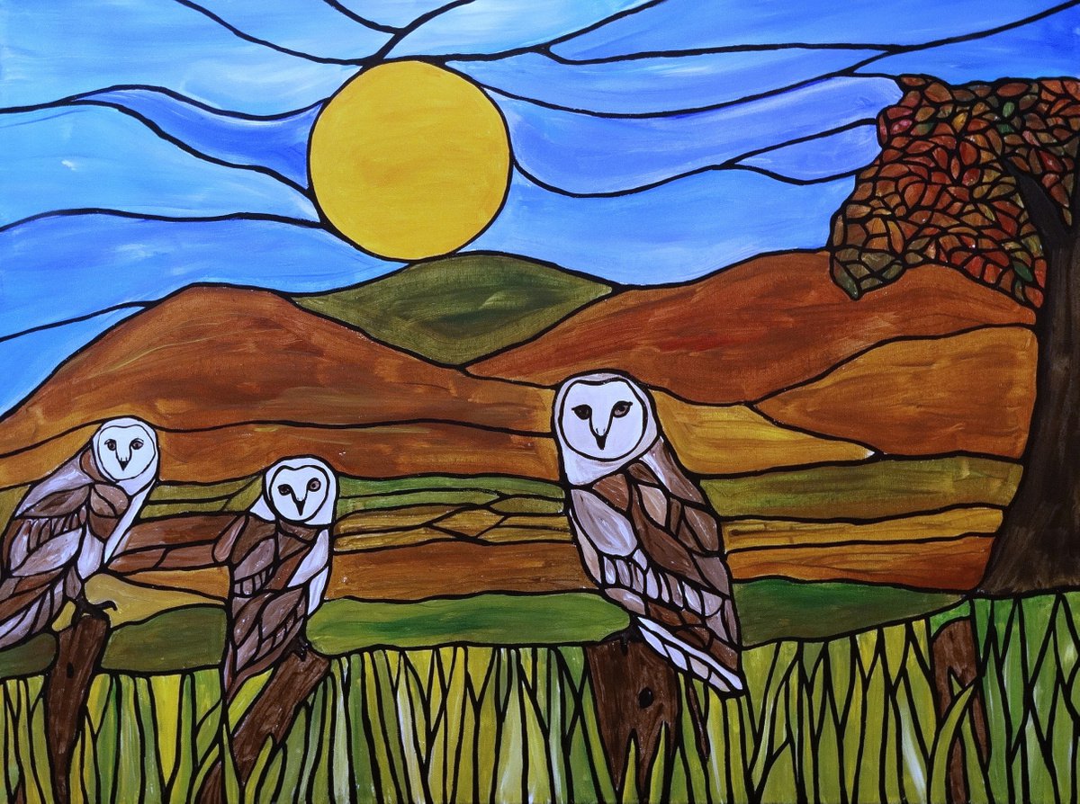 Barn owls by Rachel Olynuk