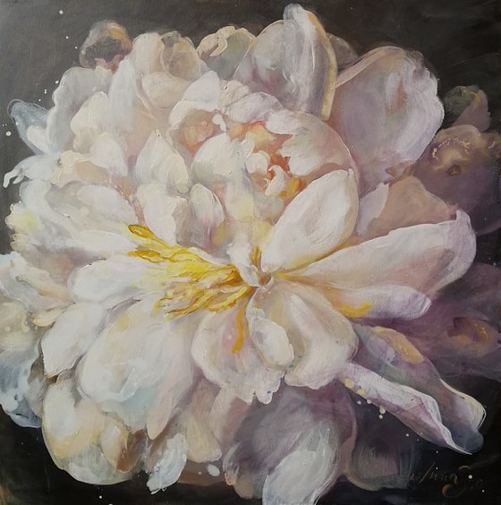 “In the light.Peony”