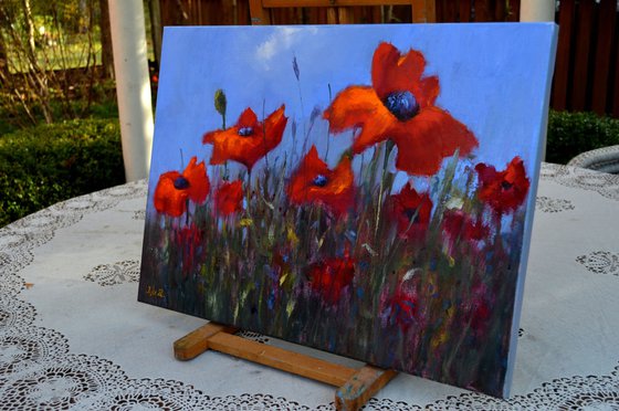 Scarlet Poppies