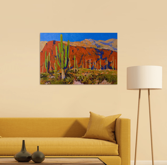 Saguaros and Desert Colors
