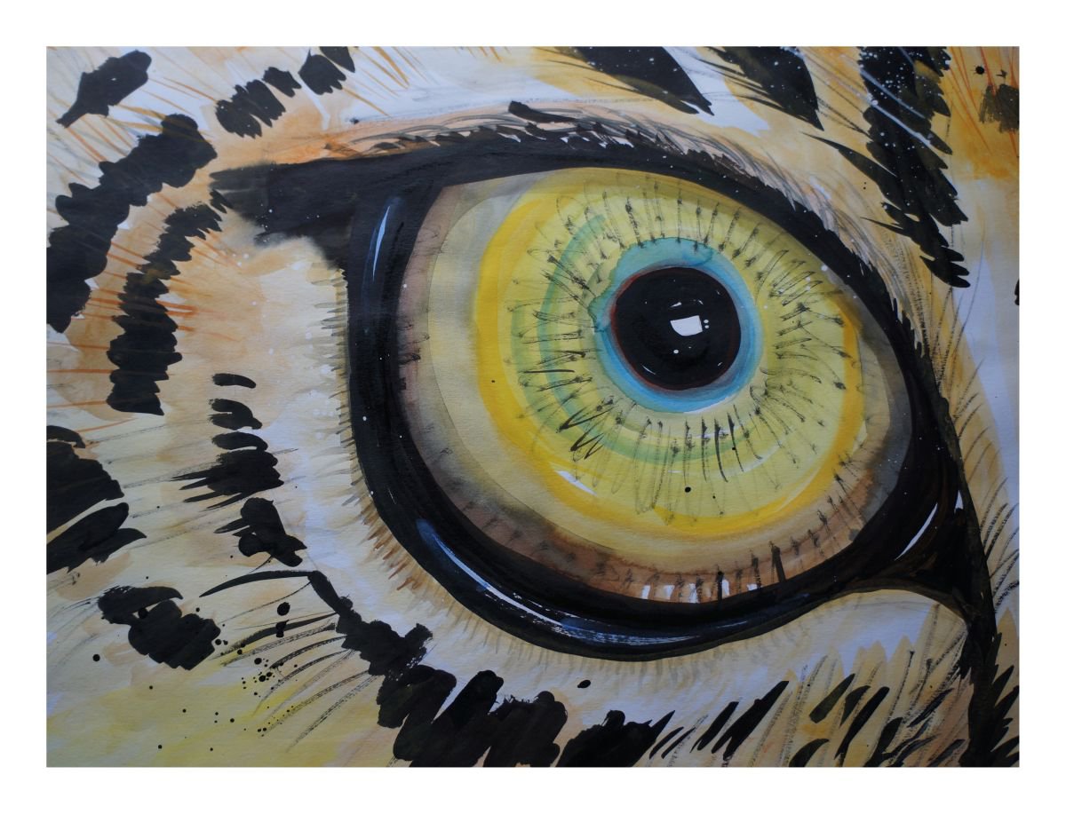 Leopard Eye by Julia Rigby