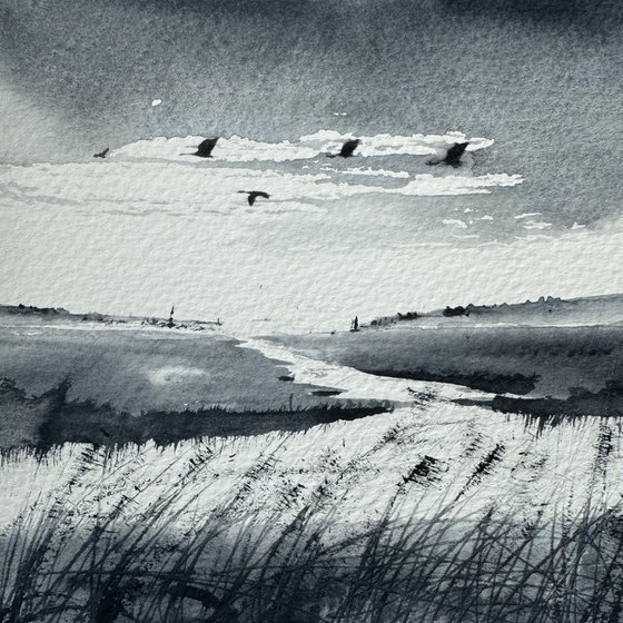Water fowl over marshes