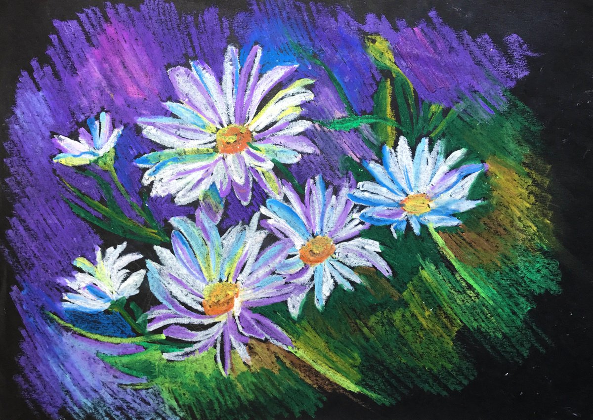 Botanical Charcoal Drawing By Anastasia Terskih, 12 X 8, Chamomile, Original Artwork