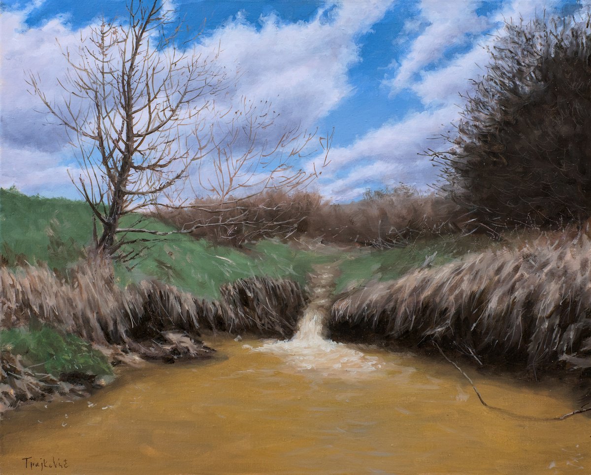 Impressionistic Landscape Oil Painting By Dejan Trajkovic, 24 X 20, After The Spring Rain, Original Artwork