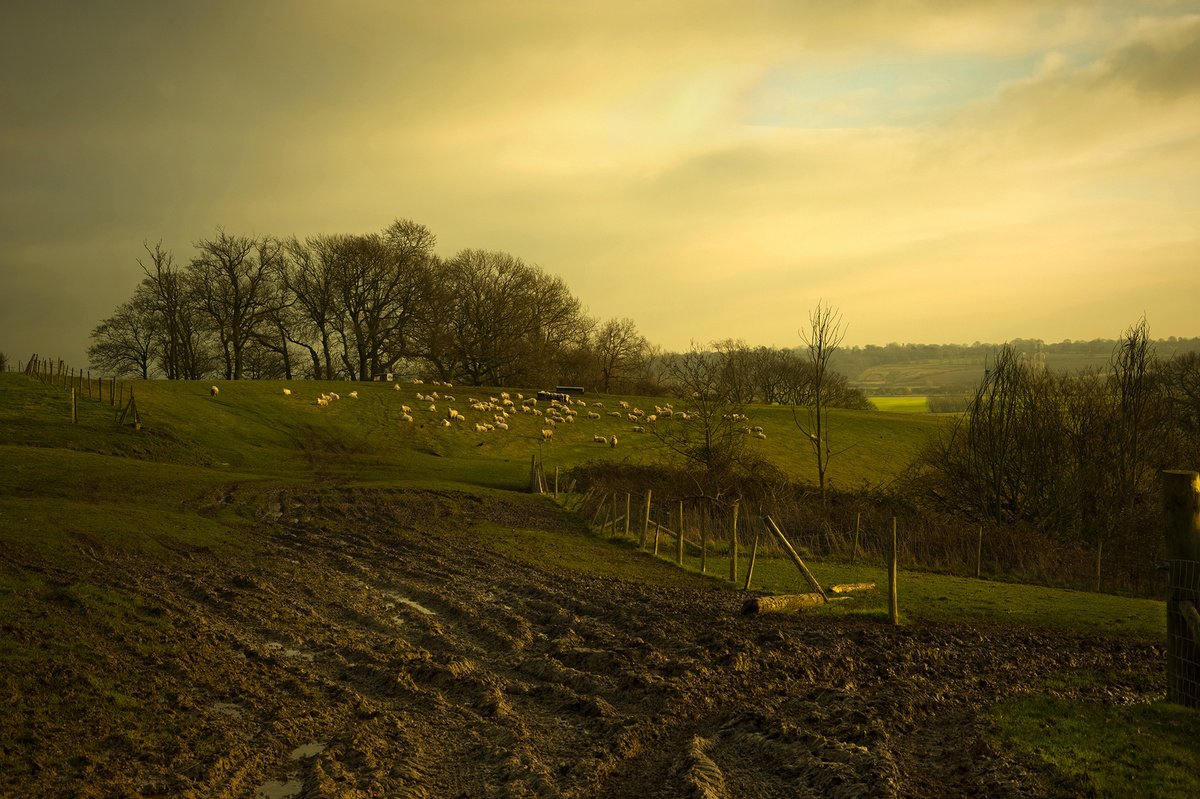 Isle of Oxney by Adam Regan