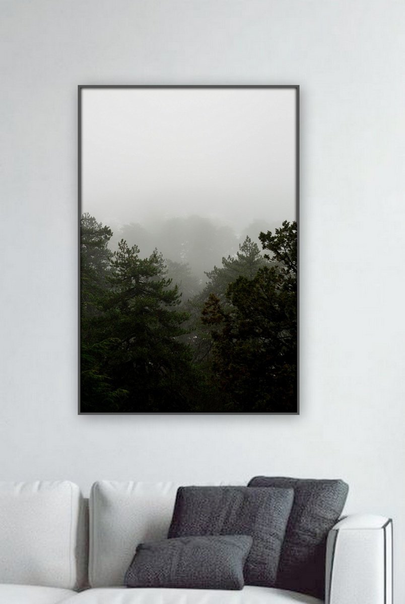 Photorealistic Giclee Print , Photography By Nadia Moniatis, 18 X 27, Artwork For Sale On Artfinder