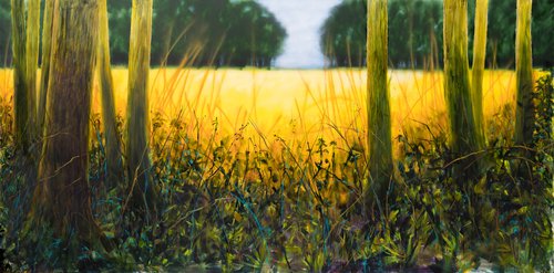 The golden wheat field in the glade by Fabienne Monestier