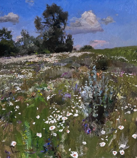 Chamomile