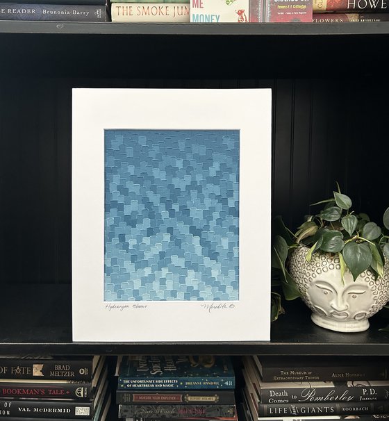 Hydrangea Blooms