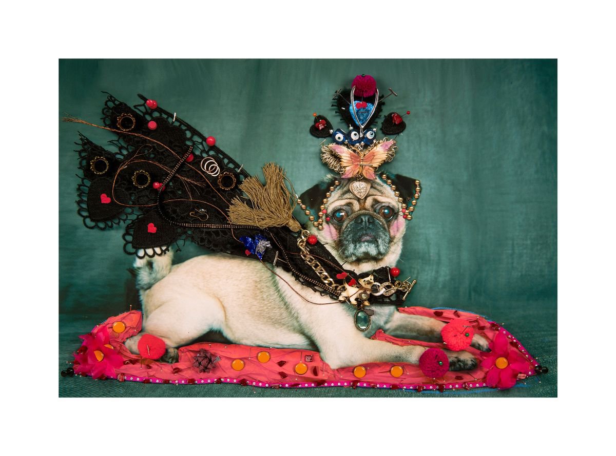 Urban And Pop Animal Photograph By B-Brown & Scheinmann, 44 X 33, Louis The Pug (Large Size), Original Artwork