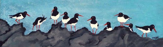 Oystercatcher Hang Out