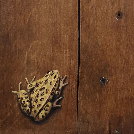 Frog and beetle on recycled wood