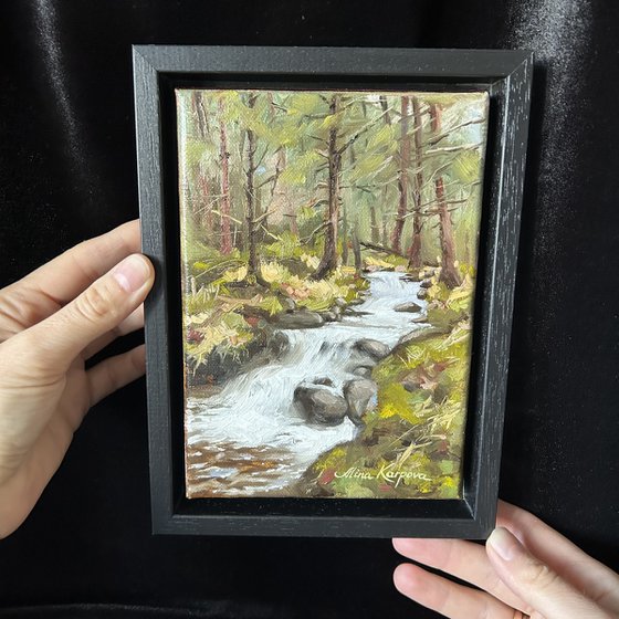 Forest falls