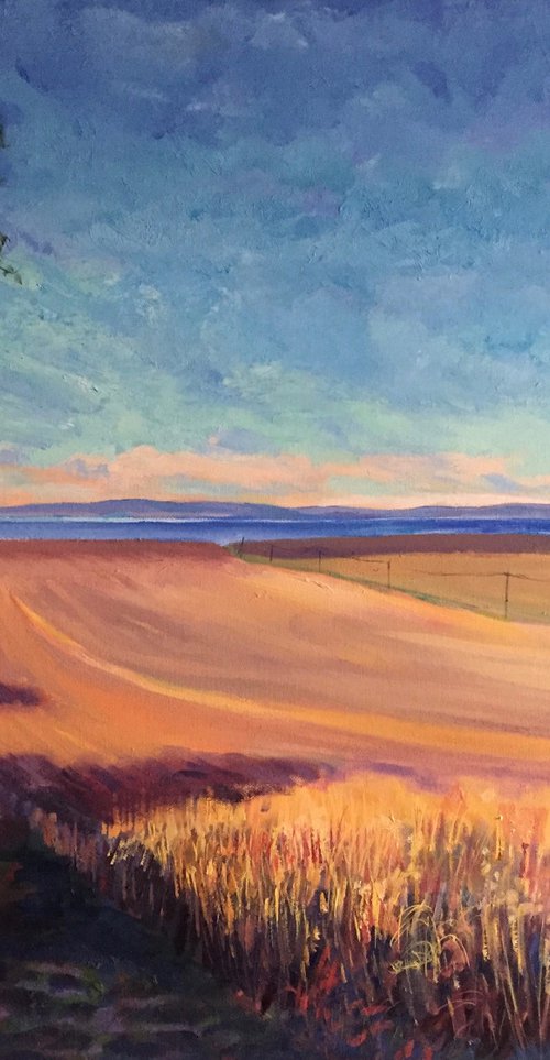 "Fields of Barley, Upper Largo, Fife' by Stephen Howard Harrison