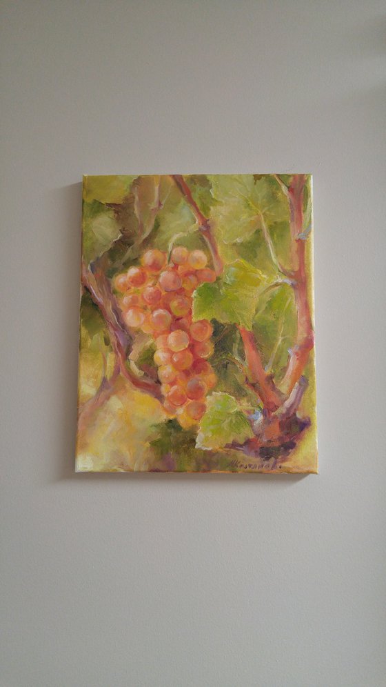 Grapes 3