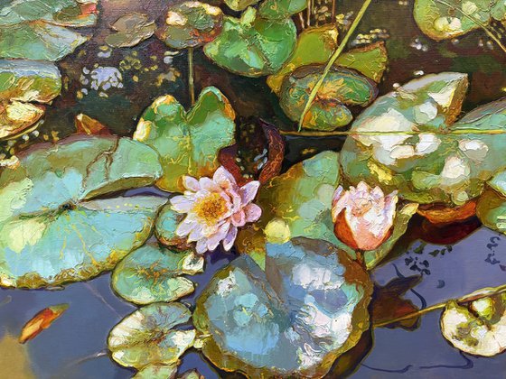 Water Lilies