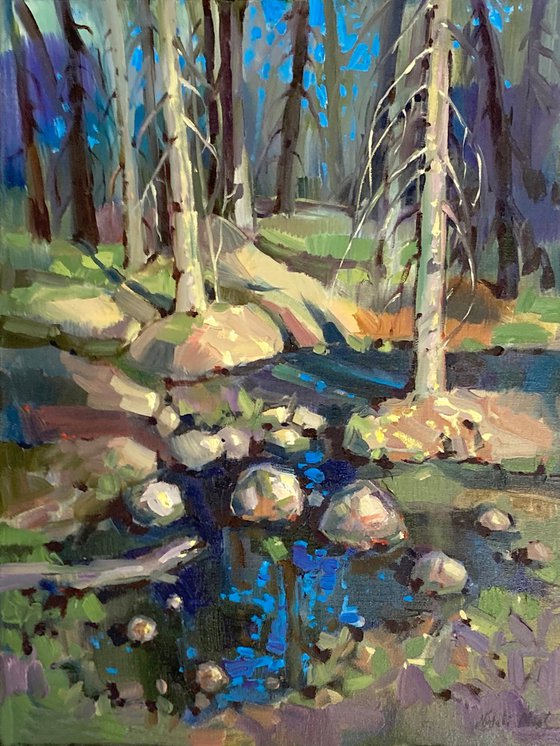 Spring Morning in the Forest