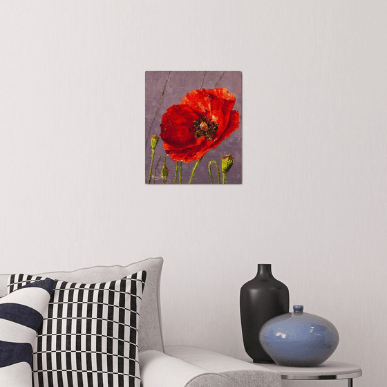 Red poppy