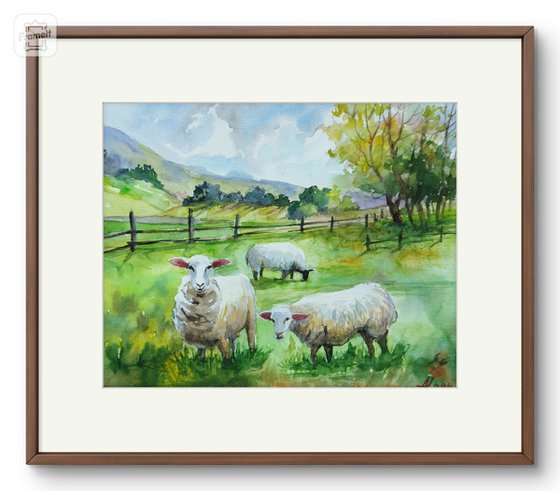 Scottish landscape with sheep