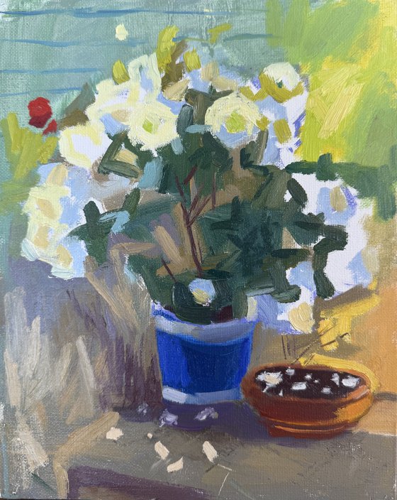 Roses