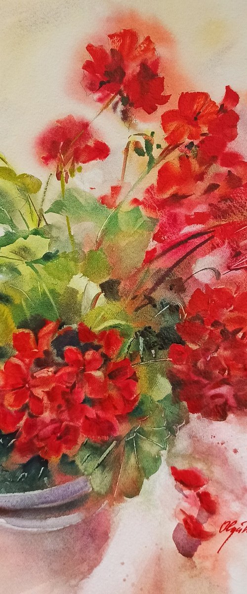 Red Geranium by Olga Drozdova