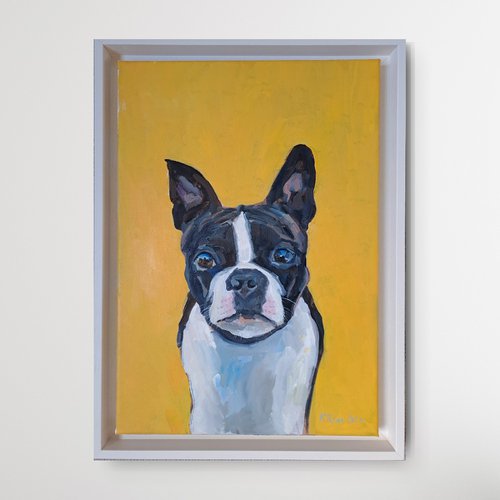 Didier the French bulldog by Katharine Rowe